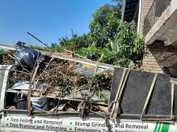 Best Yard Waste Removal  in Metter, GA